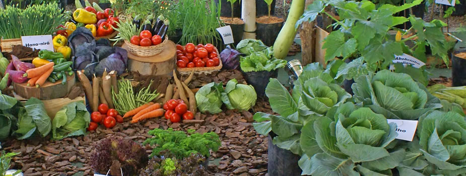 Horticultura Horticultura